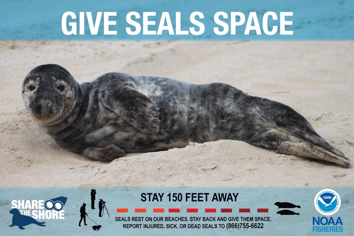 give seals space poster