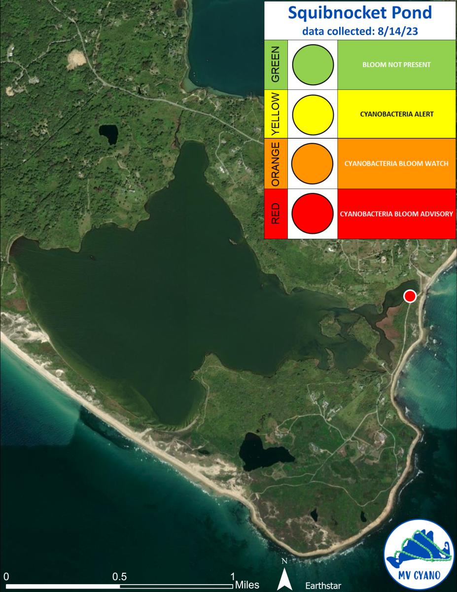 Cyano map of Squibnocket Pond