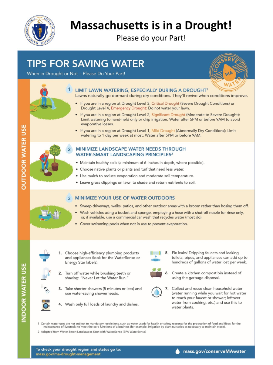 Tips for Saving Water
