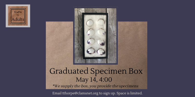 Graduated Specimen Box