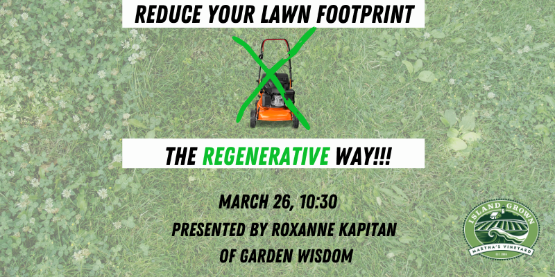 Reduce Your Lawn Footprint