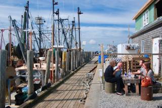 Commercial Dock