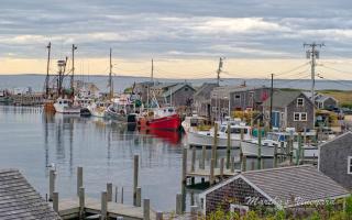 Fishing Bulkhead