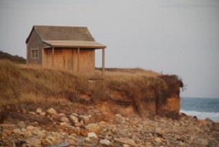 Stonewall Shack