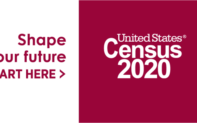 census 2020 logo