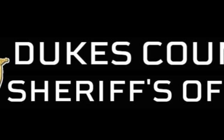sheriffs badge