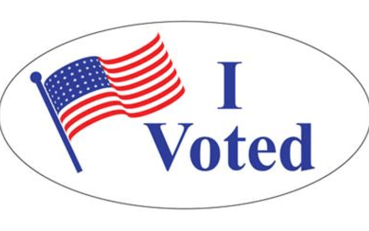 I voted sticker